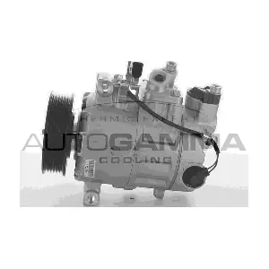 108954 AUTOGAMMA