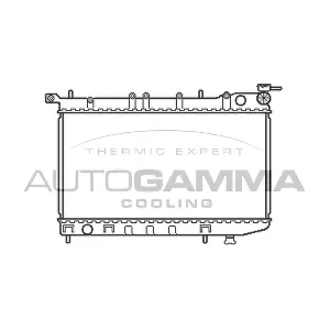 100649 AUTOGAMMA