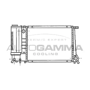 101121 AUTOGAMMA
