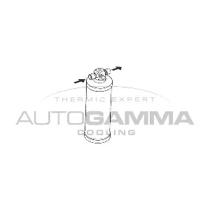 106120 AUTOGAMMA
