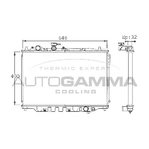 101430 AUTOGAMMA
