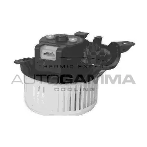 GA20045 AUTOGAMMA