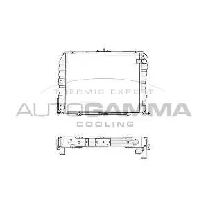 105817 AUTOGAMMA