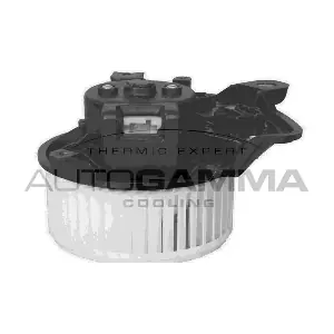 GA20033 AUTOGAMMA