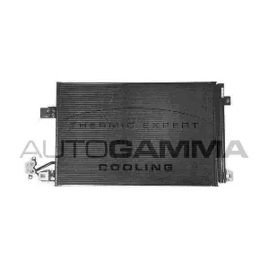 107098 AUTOGAMMA
