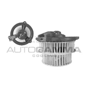 GA38902 AUTOGAMMA
