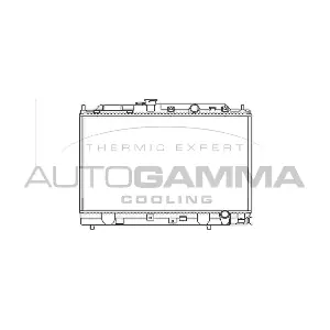 100419 AUTOGAMMA
