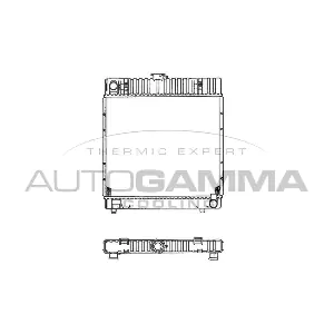 100527 AUTOGAMMA