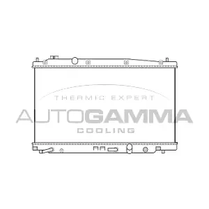 105738 AUTOGAMMA