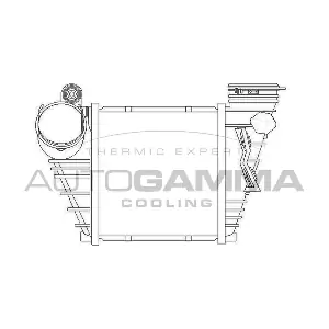 103793 AUTOGAMMA