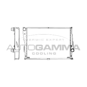103744 AUTOGAMMA