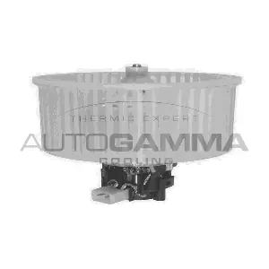 GA20055 AUTOGAMMA