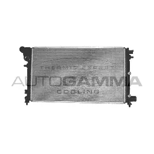 100198 AUTOGAMMA