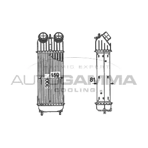 105121 AUTOGAMMA