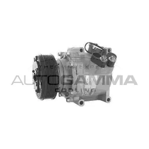 108083 AUTOGAMMA