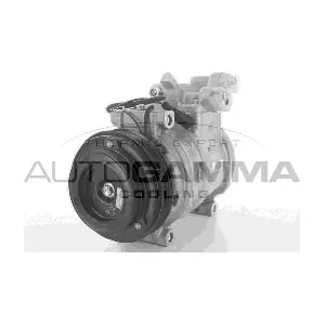 108891 AUTOGAMMA