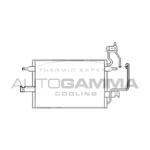 103523 AUTOGAMMA