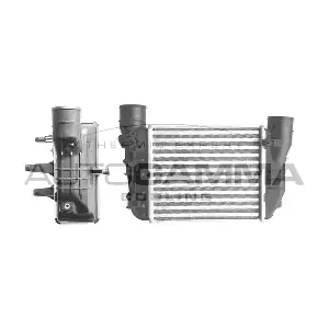 103246 AUTOGAMMA