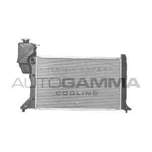 101323 AUTOGAMMA