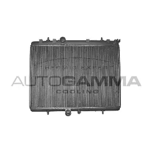 103367 AUTOGAMMA
