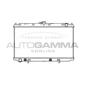102196 AUTOGAMMA