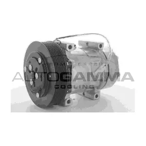 108955 AUTOGAMMA
