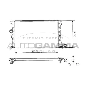 100208 AUTOGAMMA