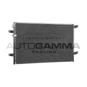 107661 AUTOGAMMA