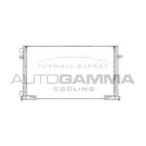 105021 AUTOGAMMA