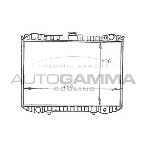 103257 AUTOGAMMA