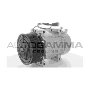 108957 AUTOGAMMA