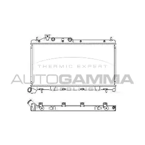 107239 AUTOGAMMA