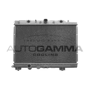 102943 AUTOGAMMA