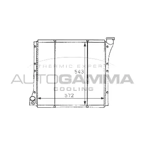 101063 AUTOGAMMA