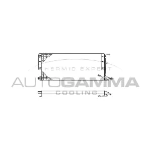 304522 AUTOGAMMA