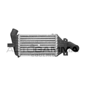 101509 AUTOGAMMA