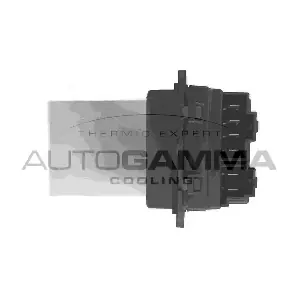 GA15523 AUTOGAMMA