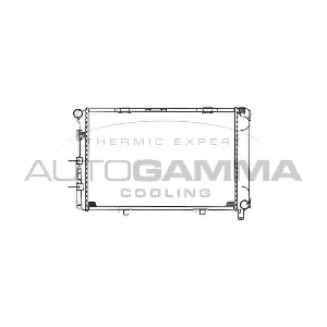 100512 AUTOGAMMA