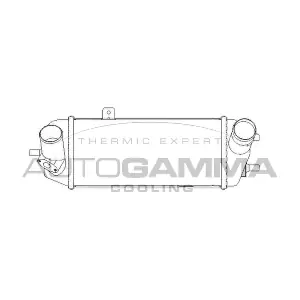 107314 AUTOGAMMA