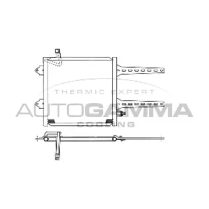 101603 AUTOGAMMA