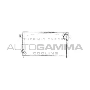 103291 AUTOGAMMA