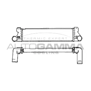101504 AUTOGAMMA