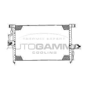 101711 AUTOGAMMA