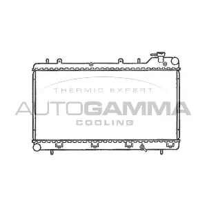 102308 AUTOGAMMA