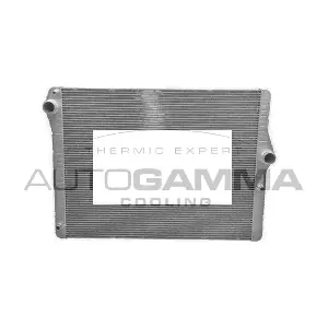 107409 AUTOGAMMA