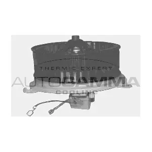 GA20345 AUTOGAMMA