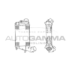 103008 AUTOGAMMA