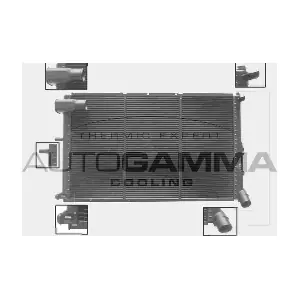 AUTOGAMMA 100222