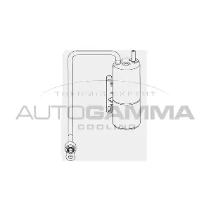 106305 AUTOGAMMA
