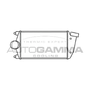 107065 AUTOGAMMA